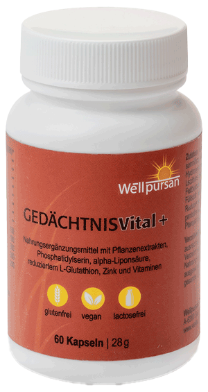 Gedächtnis Vital+